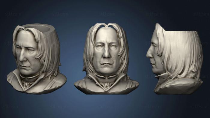 3D model Snape mate (STL)